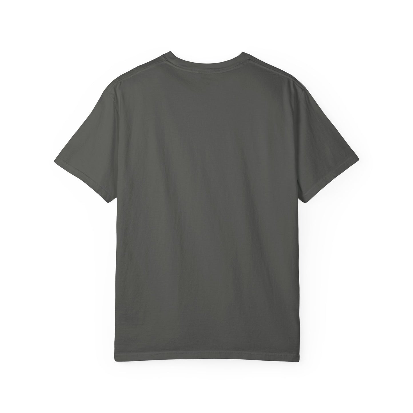 Tatooine National Park Shirt